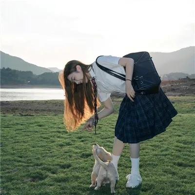 义犬逃亡记
